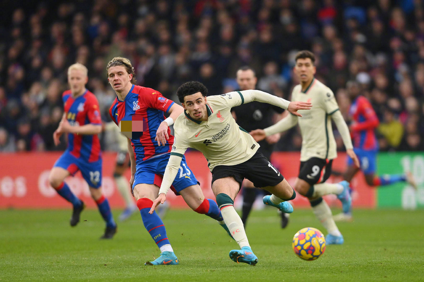 了快速变革 了快速变革