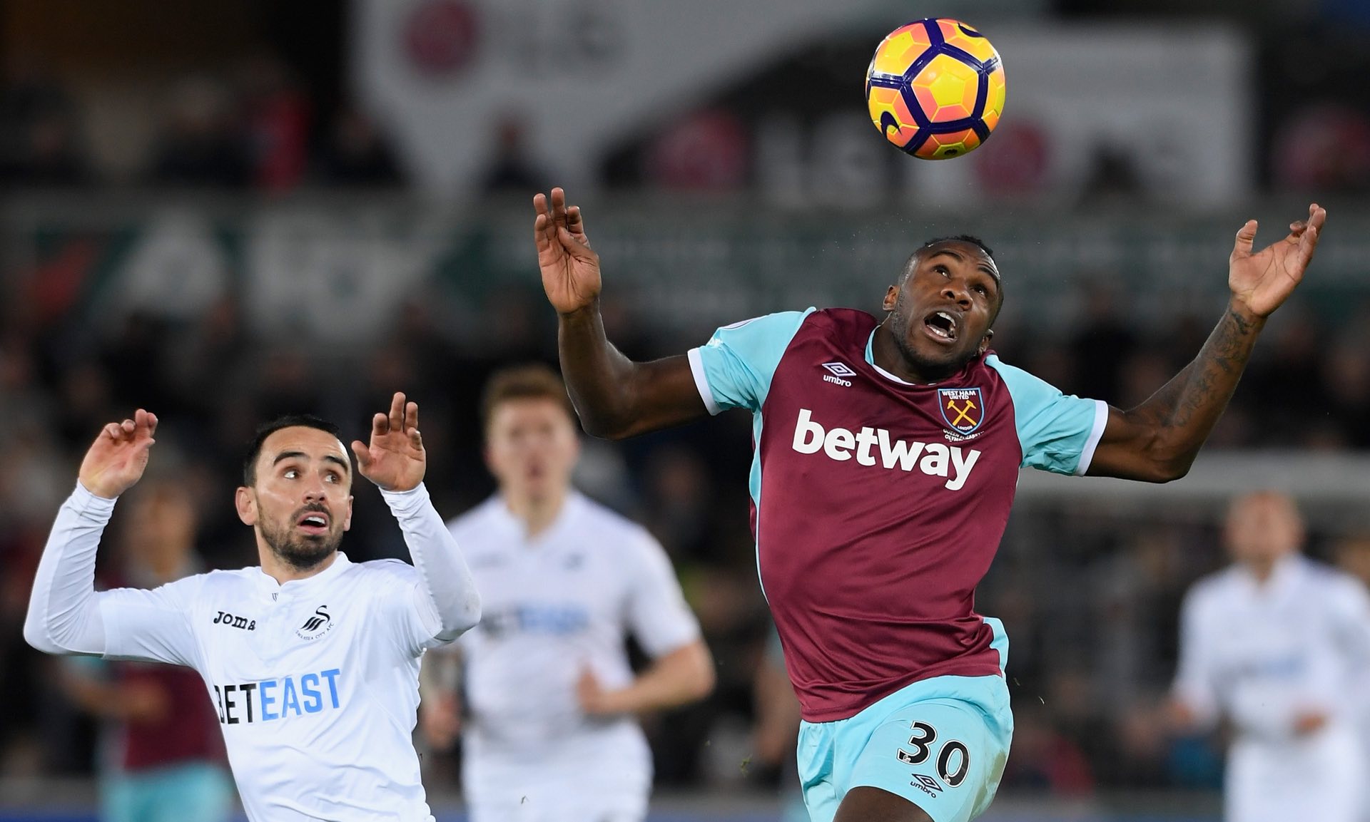 重要的作用 重要的作用